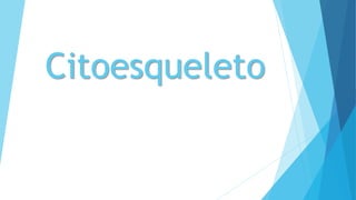 Citoesqueleto
 