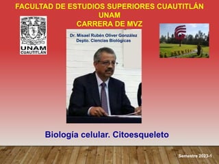 Biología celular. Citoesqueleto
Dr. Misael Rubén Oliver González
Depto. Ciencias Biológicas
Semestre 2023-1
FACULTAD DE ESTUDIOS SUPERIORES CUAUTITLÁN
UNAM
CARRERA DE MVZ
 