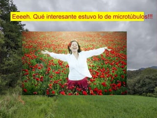Eeeeh. Qué interesante estuvo lo de microtúbulos!!!
 