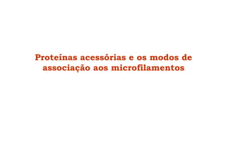 Proteínas acessórias e os modos de
associação aos microfilamentos
 