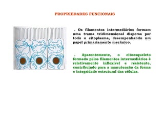 PROPRIEDADES FUNCIONAIS
. Os filamentos intermediários formam
uma trama tridimensional dispersa por
todo o citoplasma, desempenhando um
papel primariamente mecânico.
. Aparentemente, o citoesqueleto
formado pelos filamentos intermediários é
relativamente inflexível e resistente,
contribuindo para a manutenção da forma
e integridade estrutural das células.
 