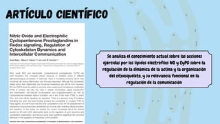 artículo científico
Se analiza el conocimiento actual sobre las acciones
ejercidas por los lípidos electrófilos NO y CyPG sobre la
regulación de la dinámica de la actina y la organización
del citoesqueleto, y su relevancia funcional en la
regulación de la comunicación
 