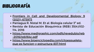 BIBLIOGRAFÍA
Frontiers in Cell and Developmental Biology 9
(2021): 673973
Paniagua R. Nistal M. Et al. Biologia celular 3º ed.
Revista de Educación Bioquímica (REB) 35(4):102-
114, 2016
https://www.medigraphic.com/pdfs/revedubio/reb
-2016/reb164c.pdf
https://www.bioenciclopedia.com/citoesqueleto-
que-es-funcion-y-estructura-837.html
 