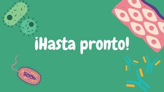 ¡Hasta pronto!
 
