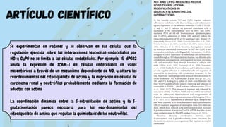 Se experimentan en ratones y se observan en sus celulas que la
regulación ejercida sobre las interacciones leucocitos-endoteliales por
NO y CyPG no se limita a las células endoteliales. Por ejemplo, 15-dPGJ2
anula la expresión de ICAM-1 en células endoteliales en vasos
mesentéricos a través de un mecanismo dependiente de NO, y altera los
reordenamientos del citoesqueleto de actina y la migración en células de
carcinoma renal y neutrófilos probablemente mediante la formación de
aductos con actina
La coordinación dinámica entre la S-nitrosilación de actina y la S-
glutationilación parece necesaria para los reordenamientos del
citoesqueleto de actina que regulan la quimiotaxis de los neutrófilos.
artículo científico
 