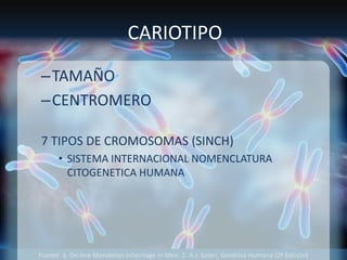 Fuente: 1. On-line Mendelian Inheritage in Men. 2. A.J. Solari, Genética Humana (2ª Edición)
CARIOTIPO
–TAMAÑO
–CENTROMERO
7 TIPOS DE CROMOSOMAS (SINCH)
• SISTEMA INTERNACIONAL NOMENCLATURA
CITOGENETICA HUMANA
 