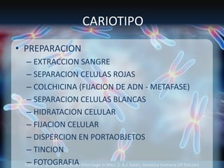 Fuente: 1. On-line Mendelian Inheritage in Men. 2. A.J. Solari, Genética Humana (2ª Edición)
CARIOTIPO
• PREPARACION
– EXTRACCION SANGRE
– SEPARACION CELULAS ROJAS
– COLCHICINA (FIJACION DE ADN - METAFASE)
– SEPARACION CELULAS BLANCAS
– HIDRATACION CELULAR
– FIJACION CELULAR
– DISPERCION EN PORTAOBJETOS
– TINCION
– FOTOGRAFIA
 