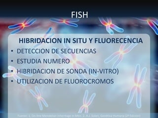 Fuente: 1. On-line Mendelian Inheritage in Men. 2. A.J. Solari, Genética Humana (2ª Edición)
FISH
HIBRIDACION IN SITU Y FLUORECENCIA
• DETECCION DE SECUENCIAS
• ESTUDIA NUMERO
• HIBRIDACION DE SONDA (IN-VITRO)
• UTILIZACION DE FLUOROCROMOS
 