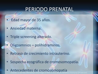 Fuente: 1. On-line Mendelian Inheritage in Men. 2. A.J. Solari, Genética Humana (2ª Edición)
PERIODO PRENATAL
• Edad mayor de 35 años.
• Ansiedad materna.
• Triple screening alterado.
• Oligoamnios – polihidraminos.
• Retraso de crecimiento intrauterino.
• Sospecha ecográfica de cromosomopatía.
• Antecedentes de cromosomopatía
 