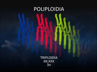 Fuente: 1. On-line Mendelian Inheritage in Men. 2. A.J. Solari, Genética Humana (2ª Edición)
POLIPLOIDIA
TRIPLOIDIA
69,XXX
3n
 