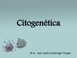 Citogenética

M.Sc. Luis Carlos Lizárraga Vargas

 