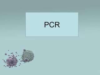 PCR

 