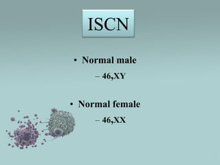 ISCN
• Normal male
– 46,XY

• Normal female
– 46,XX

 
