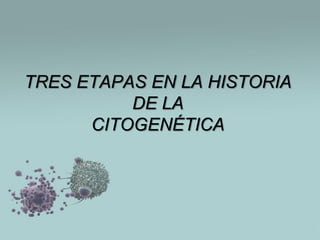 TRES ETAPAS EN LA HISTORIA
DE LA
CITOGENÉTICA

 