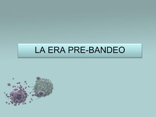 LA ERA PRE-BANDEO

 