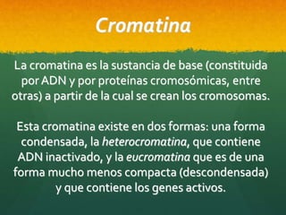 Cromatina
La cromatina es la sustancia de base (constituida
por ADN y por proteínas cromosómicas, entre
otras) a partir de la cual se crean los cromosomas.
Esta cromatina existe en dos formas: una forma
condensada, la heterocromatina, que contiene
ADN inactivado, y la eucromatina que es de una
forma mucho menos compacta (descondensada)
y que contiene los genes activos.
 