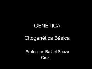 GENÉTICA
Citogenética Básica
Professor: Rafael Souza
Cruz
 