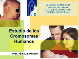 FACULTAD DE MEDICINA
ESCUELA J.M VARGAS.
CÁTEDRA DE HISTOLOGÍA Y
EMBRIOLOGÍA NORMAL
Prof . Jaime Zalchendler
Estudio de los
Cromosomas
Humanos
 