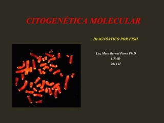 CITOGENÉTICA MOLECULAR
DIAGNÓSTICO POR FISH
Luz Mery Bernal Parra Ph.D
UNAD
2014 II
 