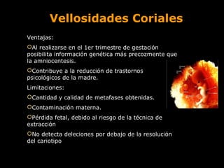 Vellosidades Coriales
Ventajas:
Al realizarse en el 1er trimestre de gestación
posibilita información genética más precozmente que
la amniocentesis.
Contribuye a la reducción de trastornos
psicológicos de la madre.
Limitaciones:
Cantidad y calidad de metafases obtenidas.
Contaminación materna.
Pérdida fetal, debido al riesgo de la técnica de
extracción
No detecta deleciones por debajo de la resolución
del cariotipo

 