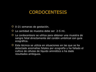 CORDOCENTESIS
 0-21 semanas de gestación.
 La cantidad de muestra debe ser 2-5 ml.
 La cordocentesis se utiliza para obtener una muestra de
sangre fetal directamente del cordón umbilical con guía
ecográfica.
 Esta técnica se utiliza en situaciones en las que se ha
detectado anomalías fetales por ecografía y ha fallado el
cultivo de células de líquido amniótico o ha dado
resultados ambiguos.

 