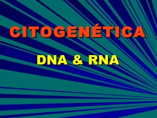CITOGENÉTICA DNA & RNA 