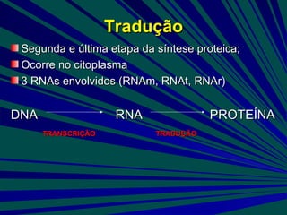 Tradução <ul><li>Segunda e última etapa da síntese proteica; </li></ul><ul><li>Ocorre no citoplasma </li></ul><ul><li>3 RN...