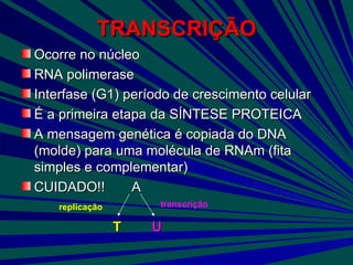 TRANSCRIÇÃO <ul><li>Ocorre no núcleo </li></ul><ul><li>RNA polimerase </li></ul><ul><li>Interfase (G1) período de crescime...