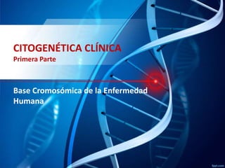 CITOGENÉTICA CLÍNICA
Primera Parte

Base Cromosómica de la Enfermedad
Humana

 