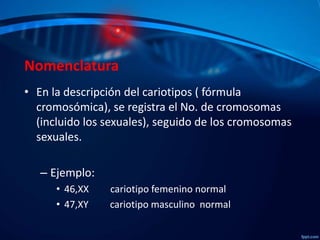 Nomenclatura
• En la descripción del cariotipos ( fórmula
cromosómica), se registra el No. de cromosomas
(incluido los sexuales), seguido de los cromosomas
sexuales.
– Ejemplo:
• 46,XX
• 47,XY

cariotipo femenino normal
cariotipo masculino normal

 