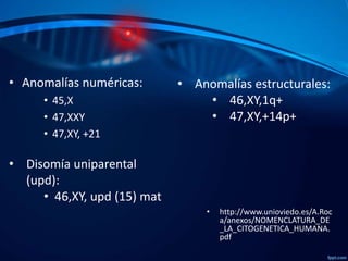 • Anomalías numéricas:
• 45,X
• 47,XXY
• 47,XY, +21

• Anomalías estructurales:
• 46,XY,1q+
• 47,XY,+14p+

• Disomía uniparental
(upd):
• 46,XY, upd (15) mat
•

http://www.unioviedo.es/A.Roc
a/anexos/NOMENCLATURA_DE
_LA_CITOGENETICA_HUMANA.
pdf

 