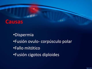 Causas
•Dispermia
•Fusión ovulo- corpúsculo polar
•Fallo mitótico
•Fusión cigotos diploides

 