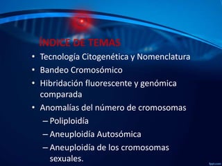 ÍNDICE DE TEMAS
• Tecnología Citogenética y Nomenclatura
• Bandeo Cromosómico
• Hibridación fluorescente y genómica
comparada
• Anomalías del número de cromosomas
– Poliploidía
– Aneuploidía Autosómica
– Aneuploidía de los cromosomas
sexuales.

 