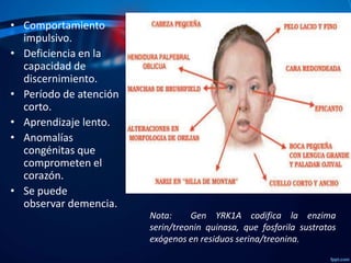 • Comportamiento
impulsivo.
• Deficiencia en la
capacidad de
discernimiento.
• Período de atención
corto.
• Aprendizaje lento.
• Anomalías
congénitas que
comprometen el
corazón.
• Se puede
observar demencia.
Nota:
Gen YRK1A codifica la enzima
serin/treonin quinasa, que fosforila sustratos
exógenos en residuos serina/treonina.

 