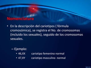Nomenclatura
• En la descripción del cariotipos ( fórmula
cromosómica), se registra el No. de cromosomas
(incluido los sex...
