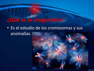 ¿Qué es la citogenética?
• Es el estudio de los cromosomas y sus
anomalías.

 