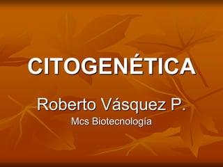CITOGENÉTICA
Roberto Vásquez P.
Mcs Biotecnología
 