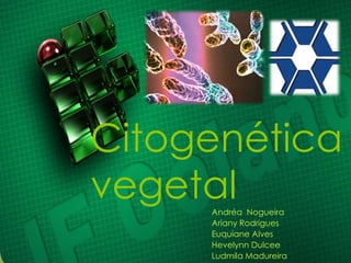 Citogenética vegetal Andréa  Nogueira Ariany Rodrigues Euquiane Alves HevelynnDulcee Ludmila Madureira 