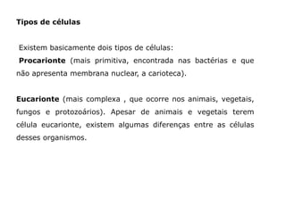 Tipos de células
Existem basicamente dois tipos de células:
Procarionte (mais primitiva, encontrada nas bactérias e que
não apresenta membrana nuclear, a carioteca).
Eucarionte (mais complexa , que ocorre nos animais, vegetais,
fungos e protozoários). Apesar de animais e vegetais terem
célula eucarionte, existem algumas diferenças entre as células
desses organismos.
 