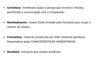 • Carioteca: membrana dupla e porosa que envolve o Núcleo,
permitindo a comunicação com o Citoplasma;
• Nucleoplasma: massa fluída limitada pela Carioteca que ocupa o
interior do núcleo;
• Cromatina: material constituído por DNA (material genético).
Responsável pelas CARACTERÍSTICAS HEREDITÁRIAS.
• Nucléolo: estrutura que produz proteínas.
 