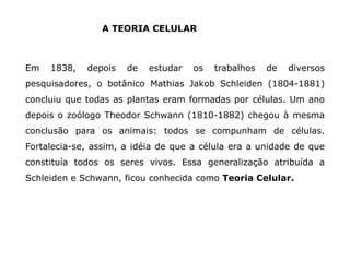 A TEORIA CELULAR
Em 1838, depois de estudar os trabalhos de diversos
pesquisadores, o botânico Mathias Jakob Schleiden (1804-1881)
concluiu que todas as plantas eram formadas por células. Um ano
depois o zoólogo Theodor Schwann (1810-1882) chegou à mesma
conclusão para os animais: todos se compunham de células.
Fortalecia-se, assim, a idéia de que a célula era a unidade de que
constituía todos os seres vivos. Essa generalização atribuída a
Schleiden e Schwann, ficou conhecida como Teoria Celular.
 