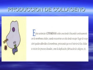 PRODUCCION DE COLLAGENO