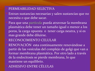  PERMEABILIDAD SELECTIVA
 Entran sustancias necesarias y salen sustancias que no
    necesita o que debe sacar.
   Para que una partícula pueda atravesar la membrana
    plasmática debe tener un tamaño igual o menor a los
    poros, la carga opuesta o tener carga neutra, y si es
    mas grande debe diluirse.
   RECONOCIMIENTO CELULAR
   RENOVACIÓN esta continuamente renovándose a
    partir de las vesículas del complejo de golgi que van a
    formar membrana plasmática. Por otro lado a través
    de la endocitosis se pierde membrana, lo que
    mantiene un equilibrio.
   ADHESIVO ENTRE CÉLULAS
 