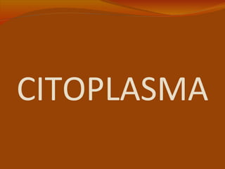 CITOPLASMA
 