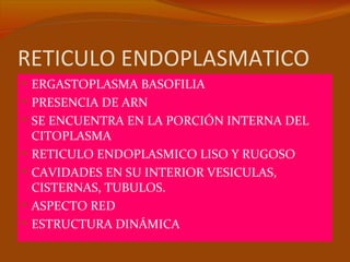 RETICULO ENDOPLASMATICO
 ERGASTOPLASMA BASOFILIA
 PRESENCIA DE ARN
 SE ENCUENTRA EN LA PORCIÓN INTERNA DEL
    CITOPLASMA
   RETICULO ENDOPLASMICO LISO Y RUGOSO
   CAVIDADES EN SU INTERIOR VESICULAS,
    CISTERNAS, TUBULOS.
   ASPECTO RED
   ESTRUCTURA DINÁMICA
 
