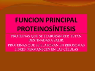 PROTEINAS QUE SE ELABORAN RER ESTAN
            DESTINADAS A SALIR.
PROTEINAS QUE SE ELABORAN EN RIBOSOMAS
    LIBRES PERMANECEN EN LAS CÉLULAS
 
