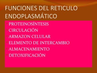 FUNCIONES DEL RETICULO
ENDOPLASMÁTICO
 PROTEINOSÍNTESIS
 CIRCULACIÓN
 ARMAZON CELULAR
 ELEMENTO DE INTERCAMBIO
 ALMACENAMIENTO
 DETOXIFICACIÓN
 