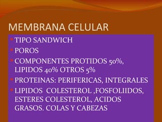 MEMBRANA CELULAR
 TIPO SANDWICH
 POROS
 COMPONENTES PROTIDOS 50%,
  LIPIDOS 40% OTROS 5%
 PROTEINAS: PERIFERICAS, INTEGRALES
 LIPIDOS COLESTEROL ,FOSFOLIIDOS,
  ESTERES COLESTEROL, ACIDOS
  GRASOS. COLAS Y CABEZAS
 
