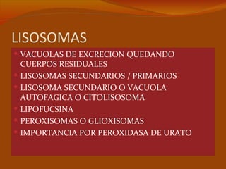 LISOSOMAS
 VACUOLAS DE EXCRECION QUEDANDO
    CUERPOS RESIDUALES
   LISOSOMAS SECUNDARIOS / PRIMARIOS
   LISOSOMA SECUNDARIO O VACUOLA
    AUTOFAGICA O CITOLISOSOMA
   LIPOFUCSINA
   PEROXISOMAS O GLIOXISOMAS
   IMPORTANCIA POR PEROXIDASA DE URATO
 