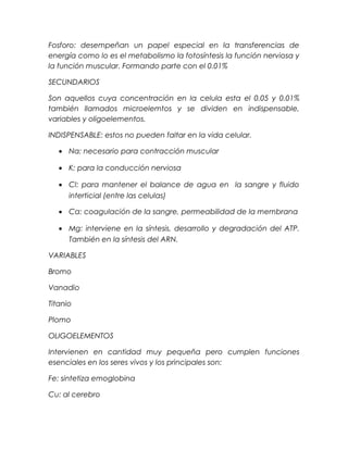 Fosforo: desempeñan un papel especial en la transferencias de
energía como lo es el metabolismo la fotosíntesis la función nerviosa y
la función muscular. Formando parte con el 0.01%
SECUNDARIOS
Son aquellos cuya concentración en la celula esta el 0.05 y 0.01%
también llamados microelemtos y se dividen en indispensable,
variables y oligoelementos.
INDISPENSABLE: estos no pueden faltar en la vida celular.
• Na: necesario para contracción muscular
• K: para la conducción nerviosa
• Cl: para mantener el balance de agua en la sangre y fluido
interticial (entre las celulas)
• Ca: coagulación de la sangre, permeabilidad de la membrana
• Mg: interviene en la síntesis, desarrollo y degradación del ATP.
También en la síntesis del ARN.
VARIABLES
Bromo
Vanadio
Titanio
Plomo
OLIGOELEMENTOS
Intervienen en cantidad muy pequeña pero cumplen funciones
esenciales en los seres vivos y los principales son:
Fe: sintetiza emoglobina
Cu: al cerebro
 